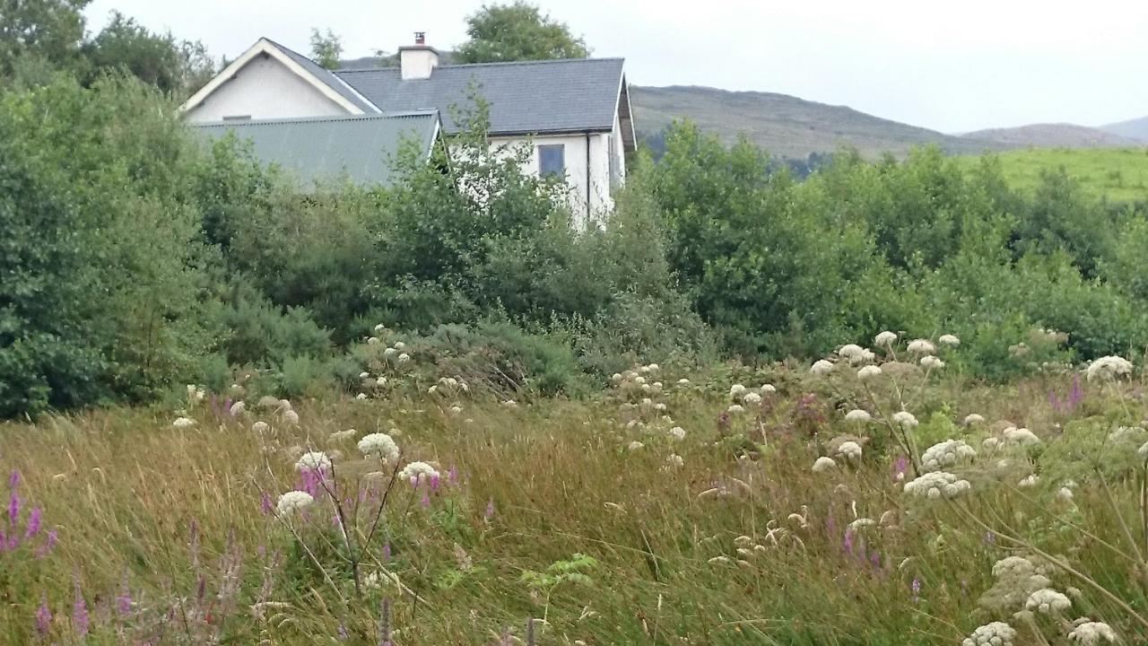 Kenmare Eco Lodge Kültér fotó