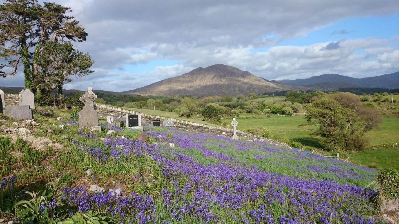 Kenmare Eco Lodge Kültér fotó