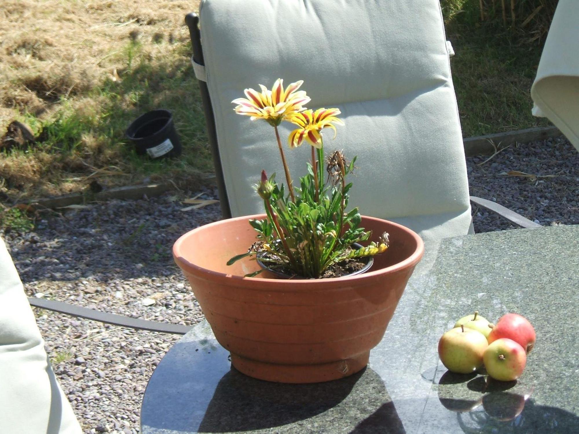 Kenmare Eco Lodge Kültér fotó